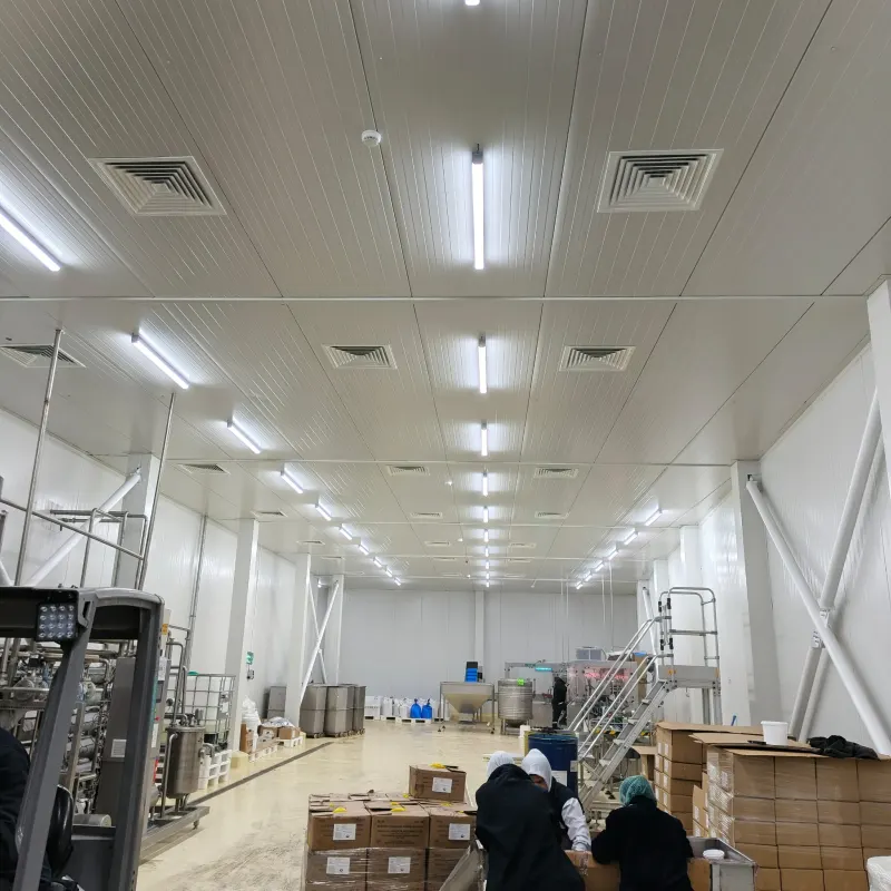 Ceiling diffusers in a hygienic production area